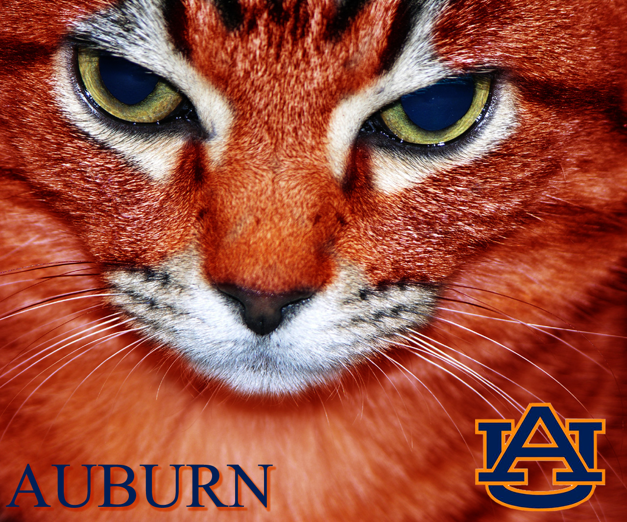 Auburn University Wallpaper