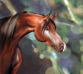 Horse (speed painting 1)