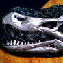 Baryonyx skull brooch/Pin's/Magnet