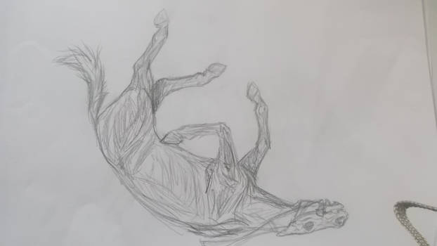 Falling horse