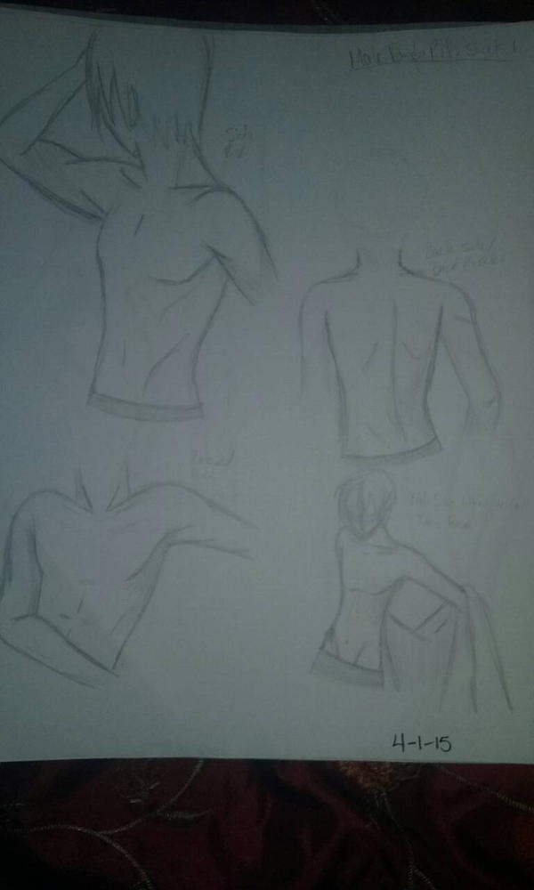Male Torso Ref. Sheet 1 by xxSoulMaiden12xx on DeviantArt