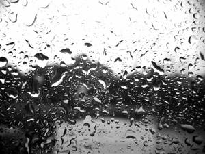 Rain B and W