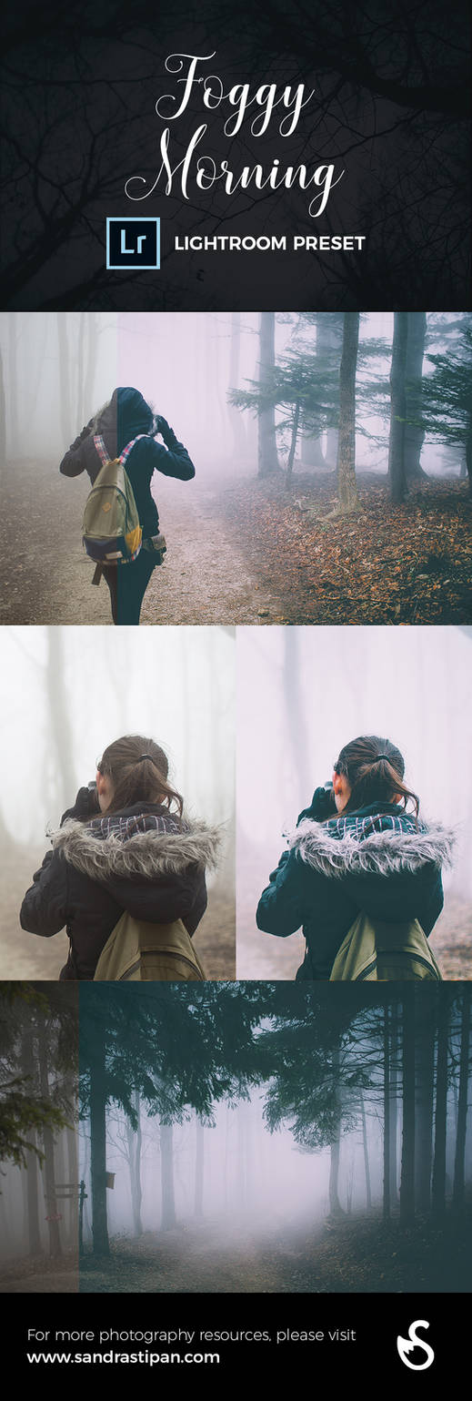 Foggy Morning Lightroom Preset by Evey90