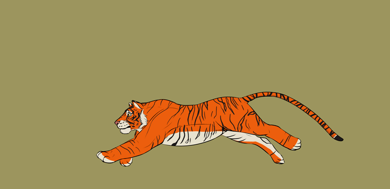 Clipart Animation Tigers