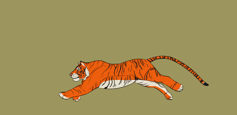 Tiger Animation by CarolinaZavarezzi on DeviantArt Tiger Animation by CarolinaZavarezzi on DeviantArt
