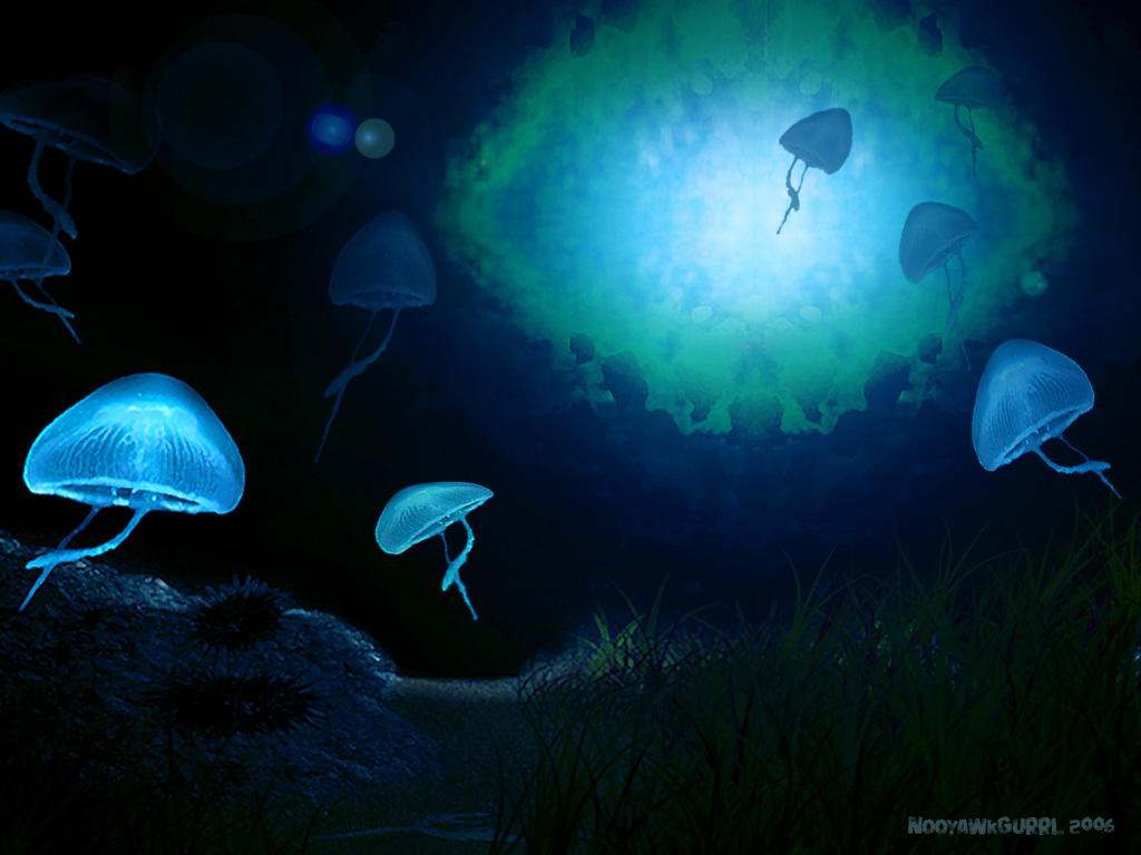 Jellyfish Journey by NooYawkGurrl on DeviantArt