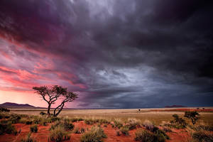 Evening storm