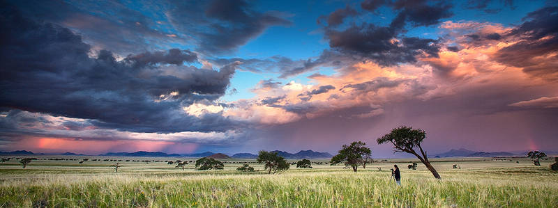 Desert sky