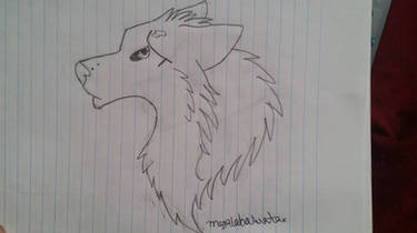 wolf drawing #1