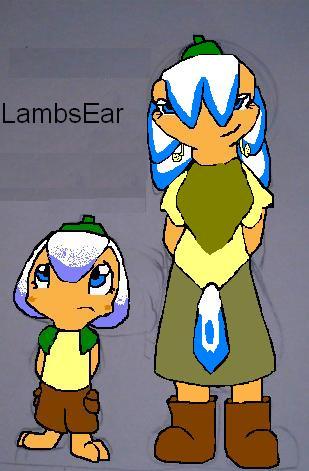 LambsEar