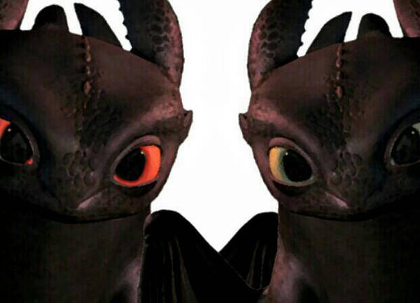 Shadow and Toothless by BluestarOfThunder on DeviantArt