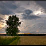 June Thunderstorm I