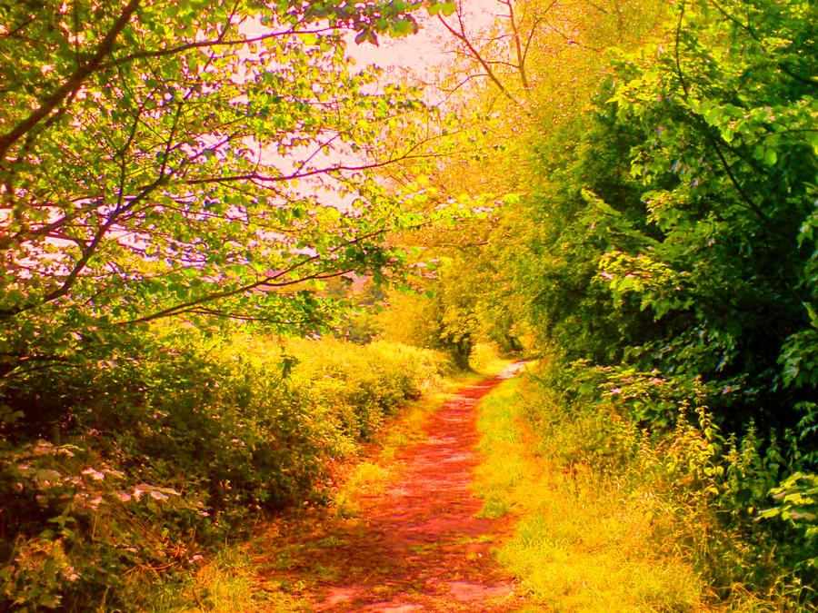Walking with Frodo by KingMediocre on DeviantArt