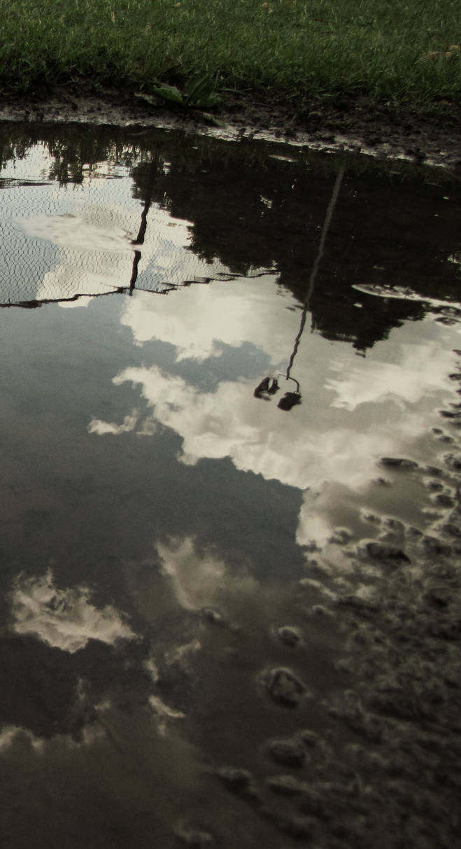 Dissarray by votejosh on DeviantArt