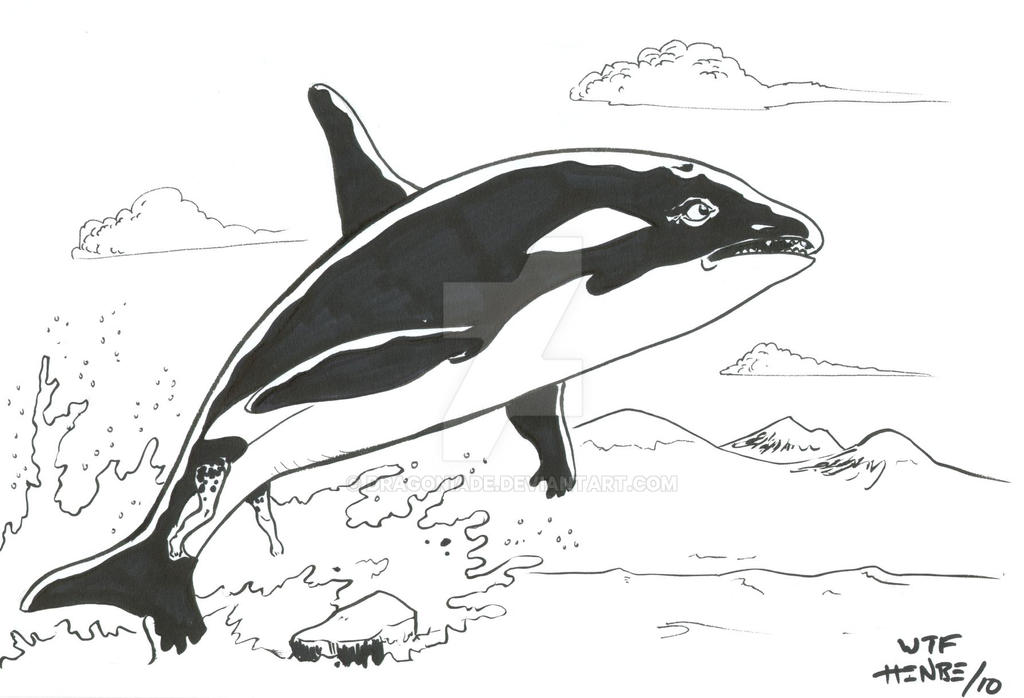 Orca Transformation 2-2 by Dragoniade on DeviantArt