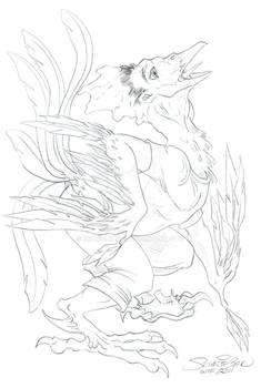 Rooster Tranformation