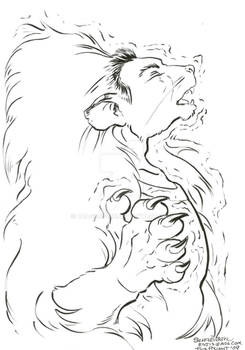 Lion Transformation