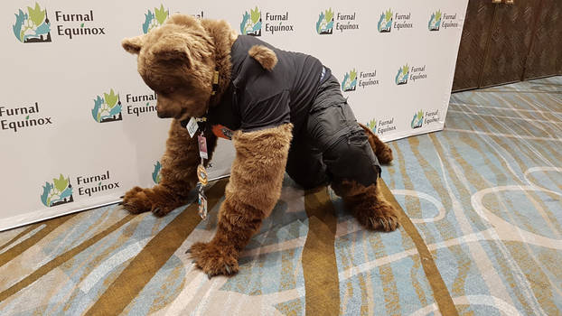 Mid-TF Were-Bear Partial Costume, crouching