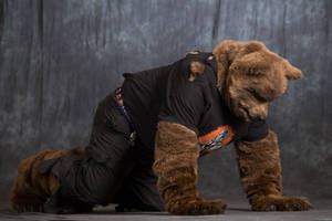 Mid-TF Were-Bear Partial Costume 4-legged pose