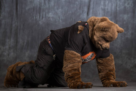 Mid-TF Were-Bear Partial Costume 4-legged pose