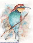 Bee-eater by DragonRider02
