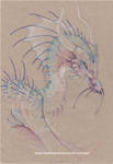 Unhappy Dragon by DragonRider02