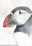 Puffin Watercolor by DragonRider02