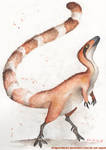 Sinosauropteryx by DragonRider02