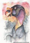 King Vulture Watercolor by DragonRider02