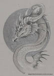 Silver Dragon by DragonRider02