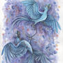 Rio-Blu and Jewel