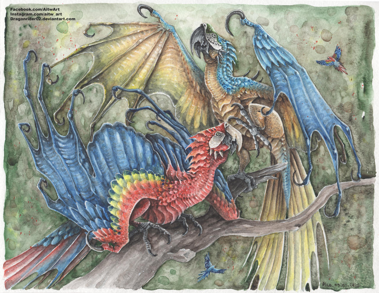 Macaw dragons