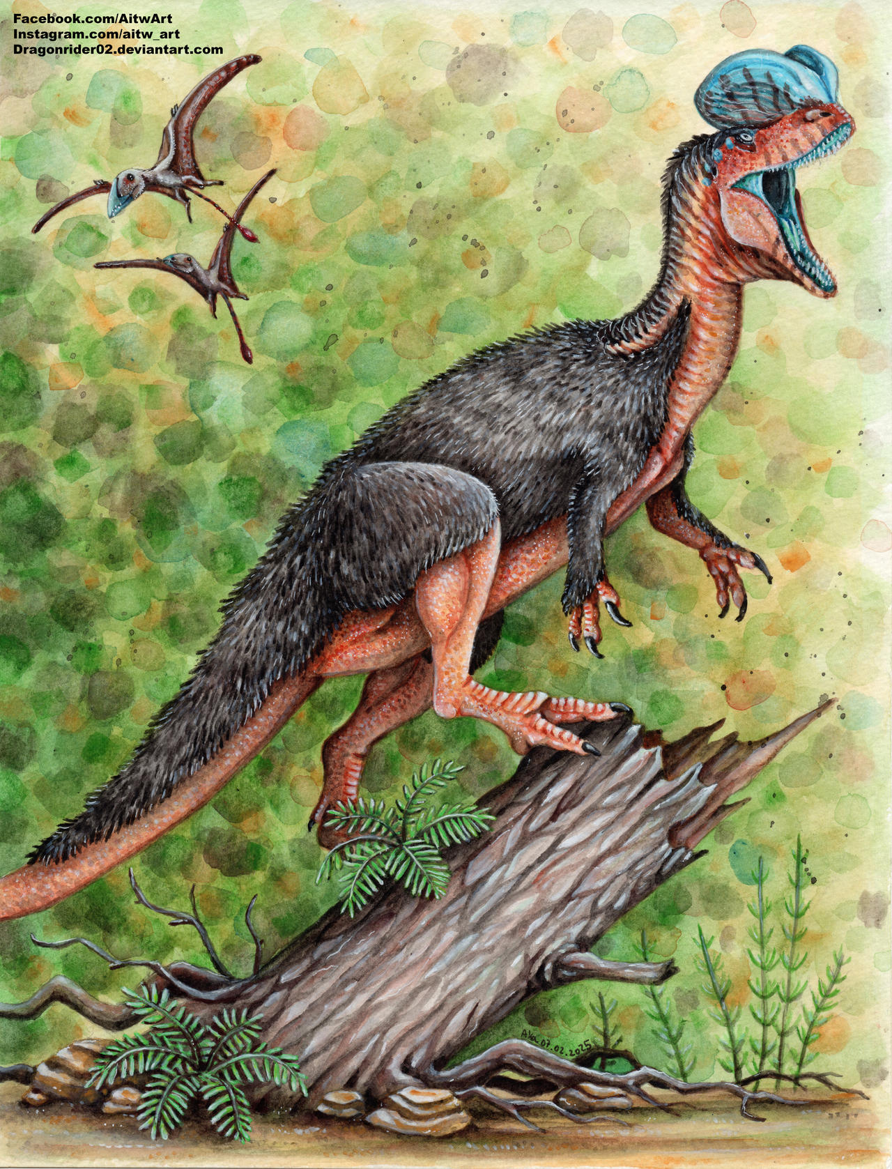 BOTM Dilophosaurus wetherilli by DragonRider02 on DeviantArt