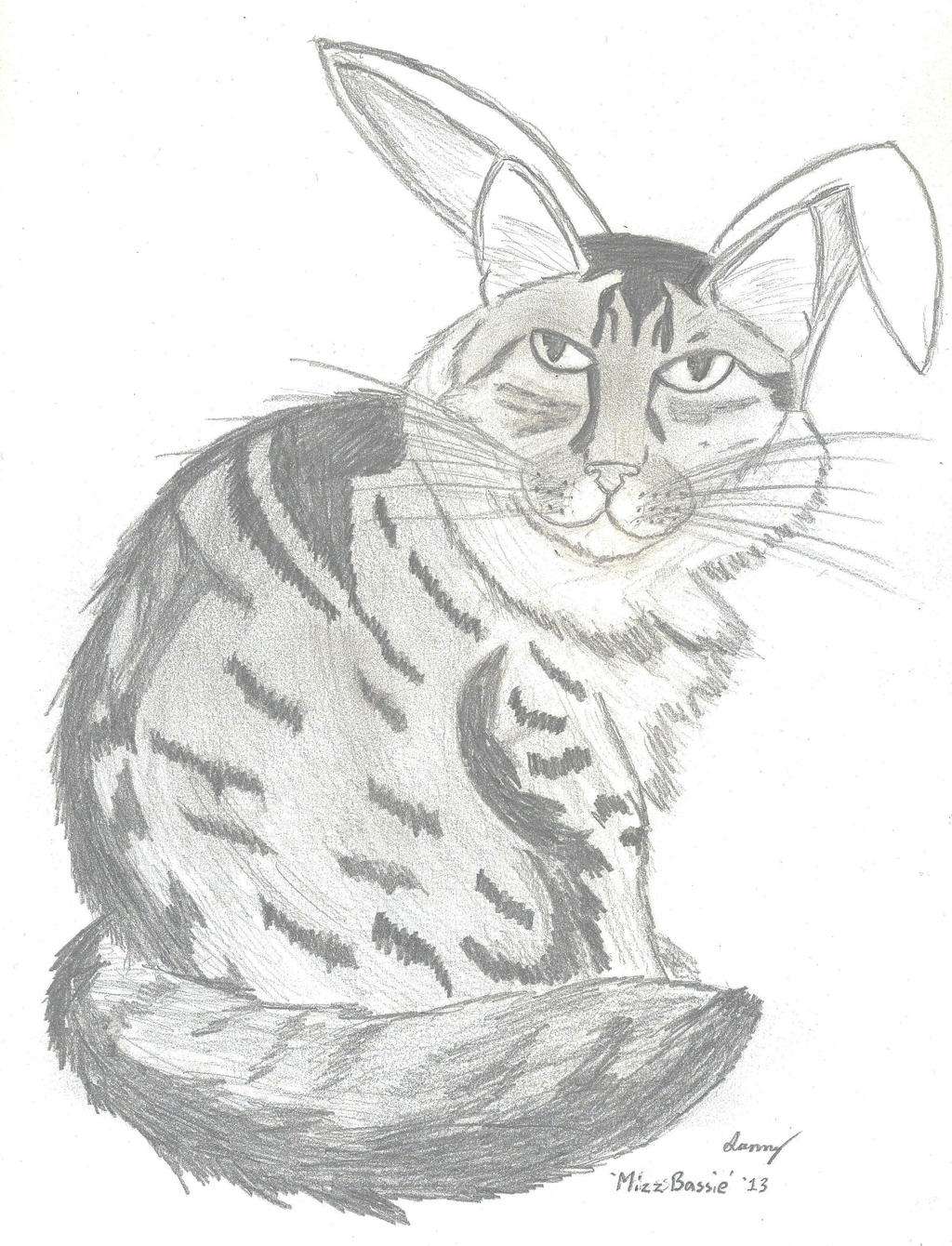 @MizzBassie Cat Custom Pet Portrait