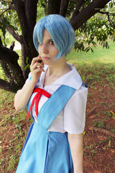 Ayanami Rei Cosplay