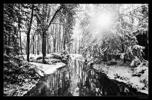 Finally A Snowy Landscape 01