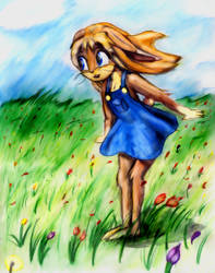 Penny in the Grass by Fragraham