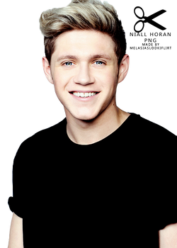 Niall Horan png (4)