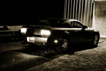 Stang 2