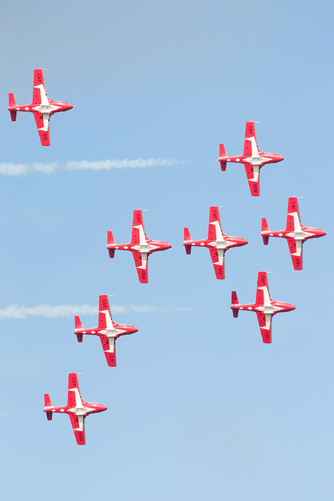 Snowbirds 3