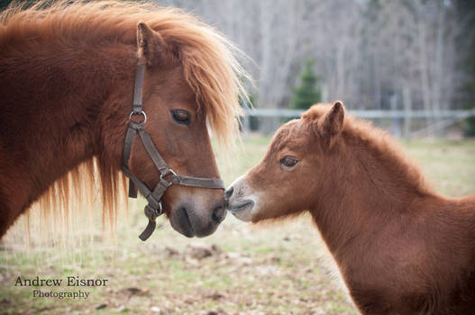 Mother and Daughter