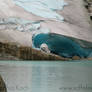 The door in the glacier