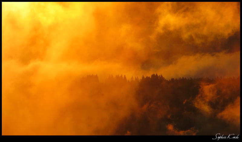 Fire by Soffeline Fire by Soffeline