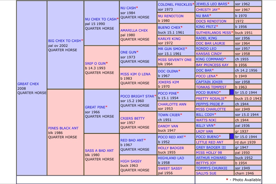 Taki lineage