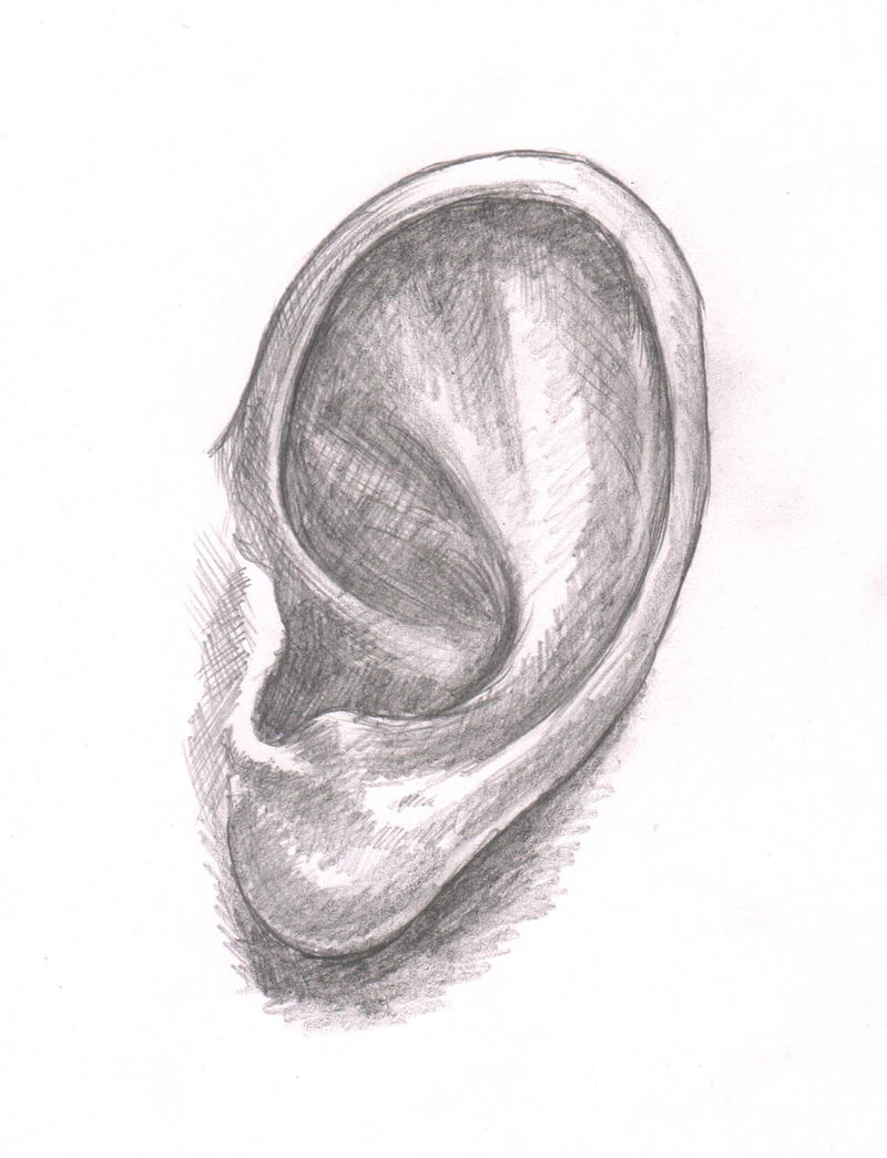 Ear study by TatevikArt on DeviantArt