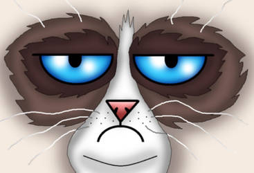 Grumpy Cat Face by kaitlynrager