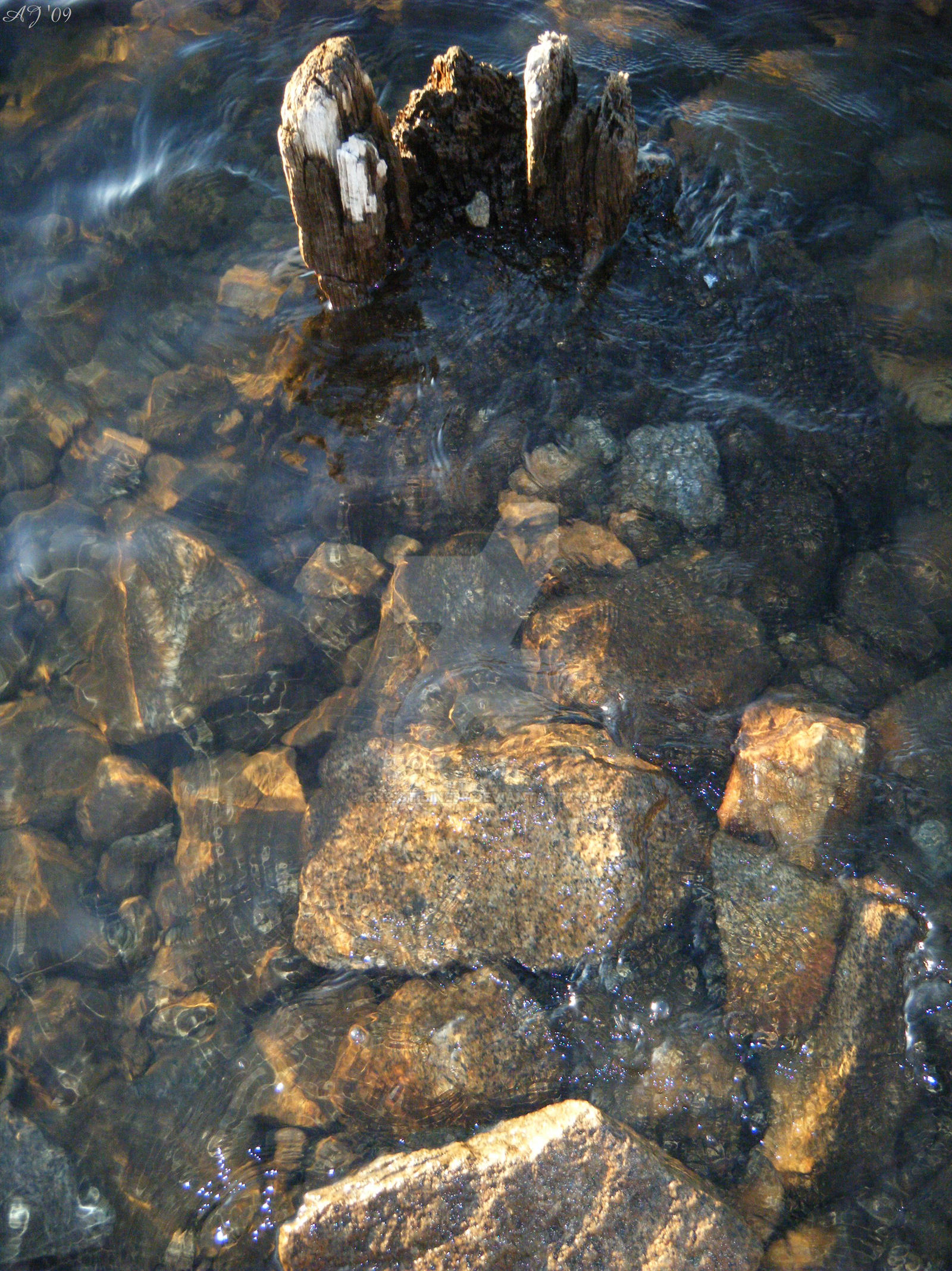 Water Stump