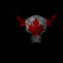 TeamBringit Logo Canada