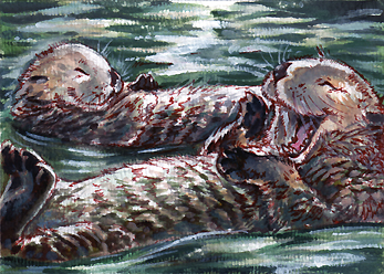 Otter yawn