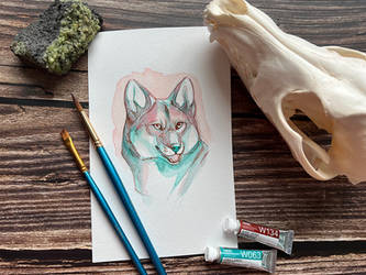 Peach and Teal Coyote Watercolor and Pen Portrait